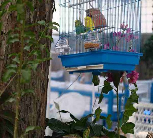 ath-g1 (3)_2_11zon ath-g1 (3)_2_11zon